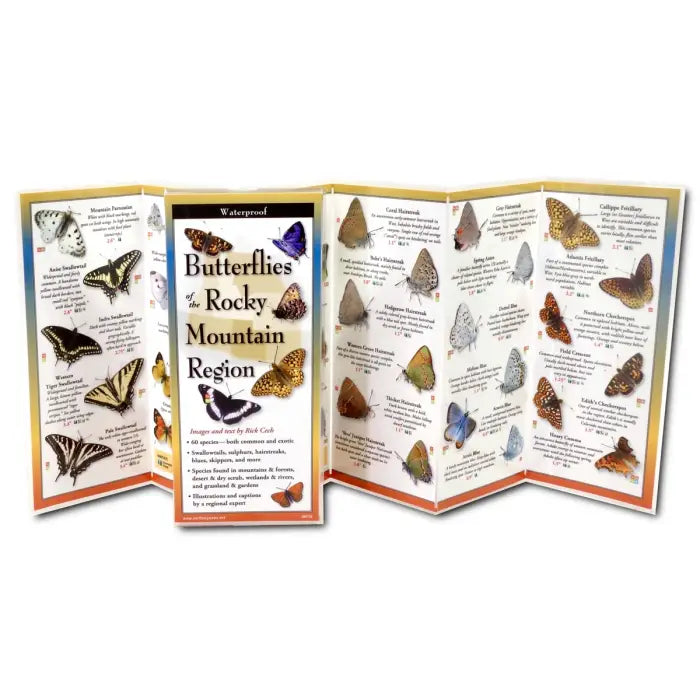 Laminated Rocky Mountain Brochures