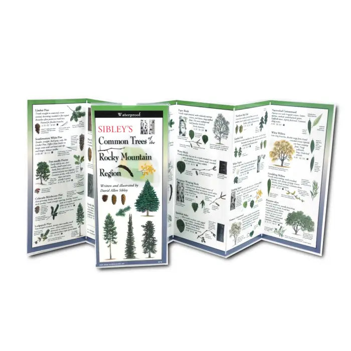 Laminated Rocky Mountain Brochures
