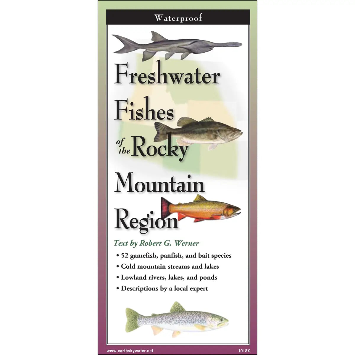 Laminated Rocky Mountain Brochures