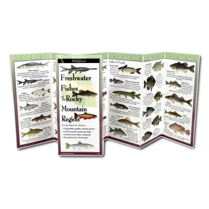 Laminated Rocky Mountain Brochures