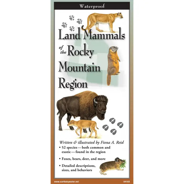 Laminated Rocky Mountain Brochures