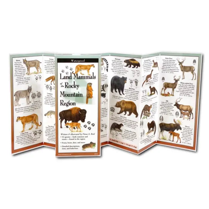 Laminated Rocky Mountain Brochures