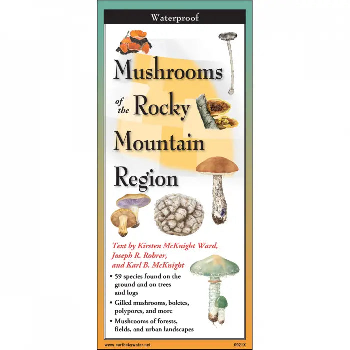 Laminated Rocky Mountain Brochures