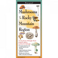Laminated Rocky Mountain Brochures