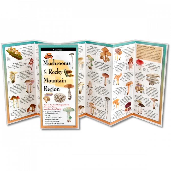 Laminated Rocky Mountain Brochures