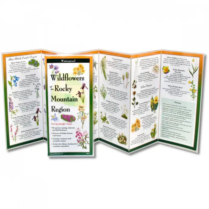 Laminated Rocky Mountain Brochures